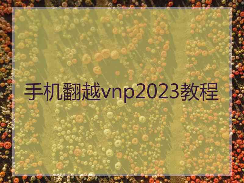 手机翻越vnp2023教程