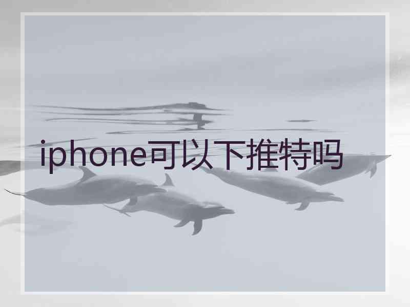 iphone可以下推特吗