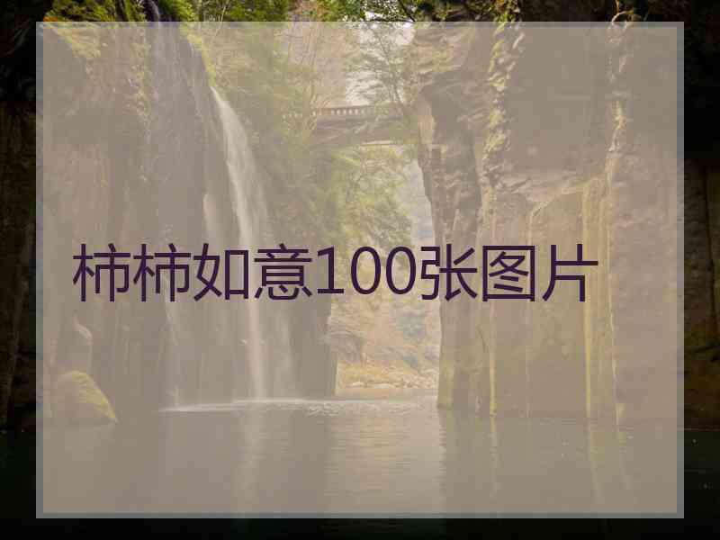 柿柿如意100张图片