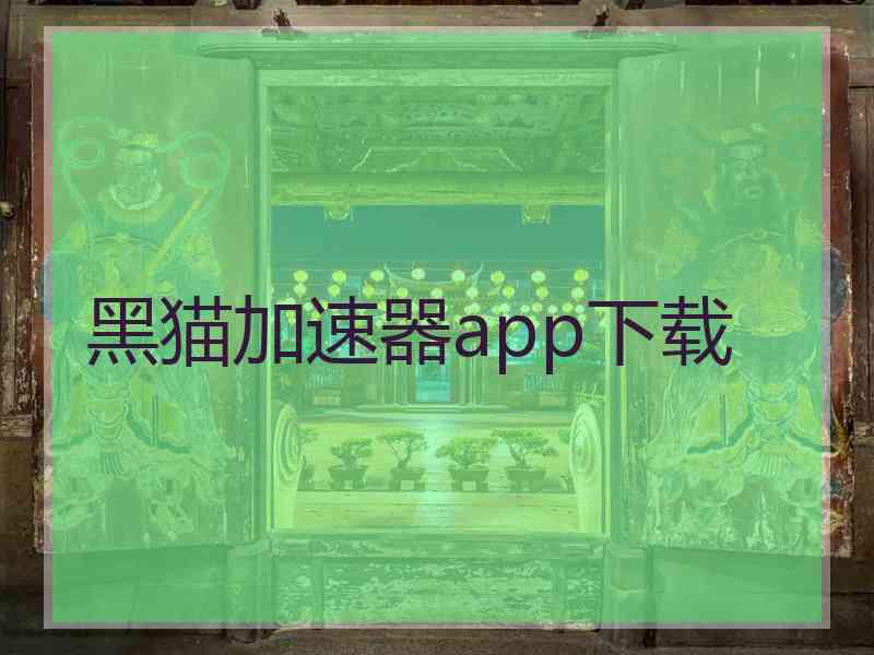 黑猫加速器app下载