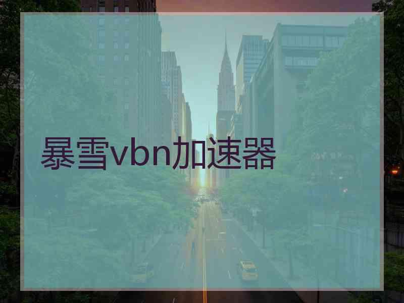 暴雪vbn加速器