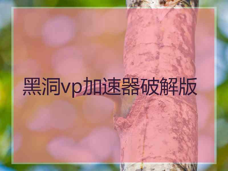 黑洞vp加速器破解版