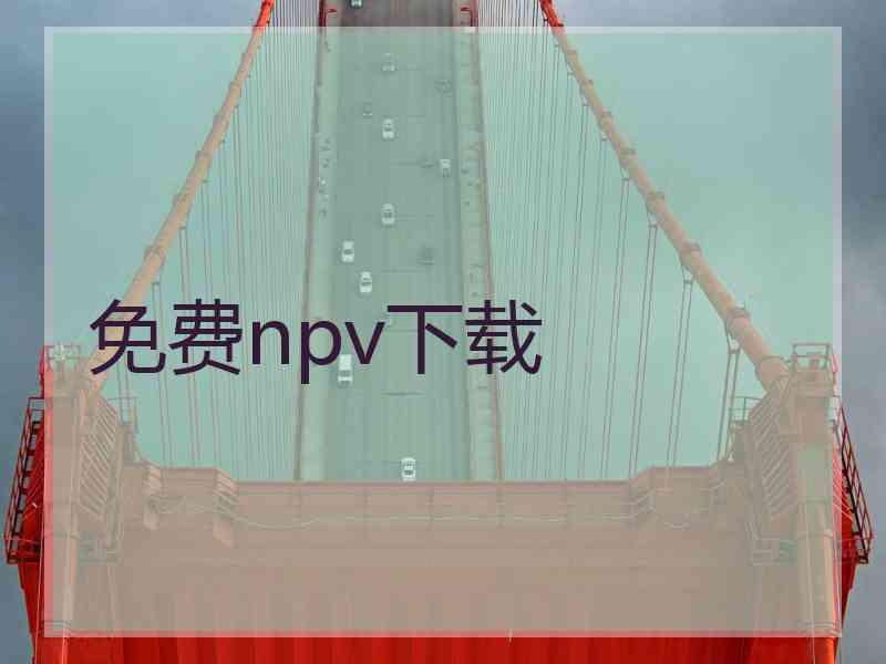 免费npv下载