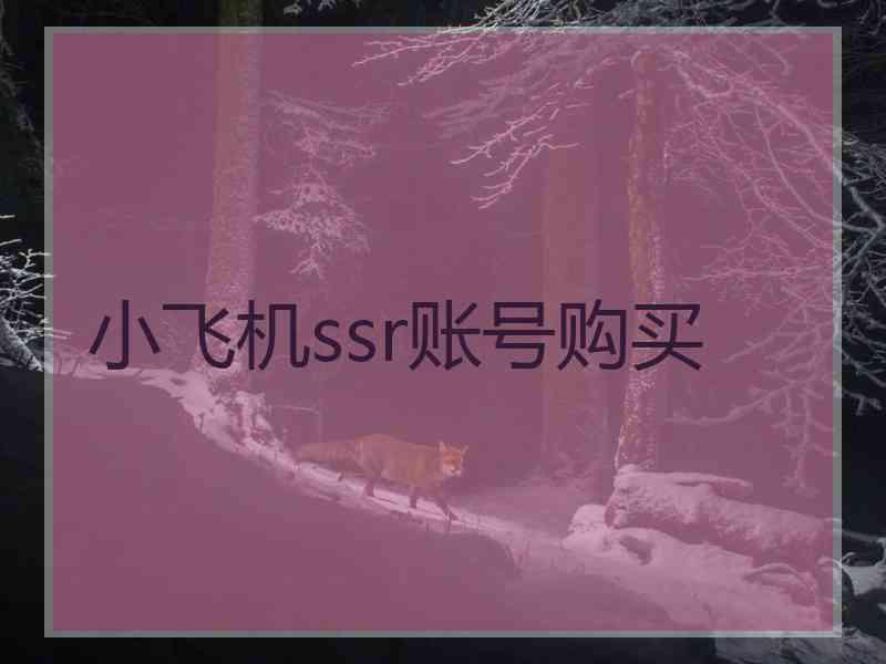 小飞机ssr账号购买