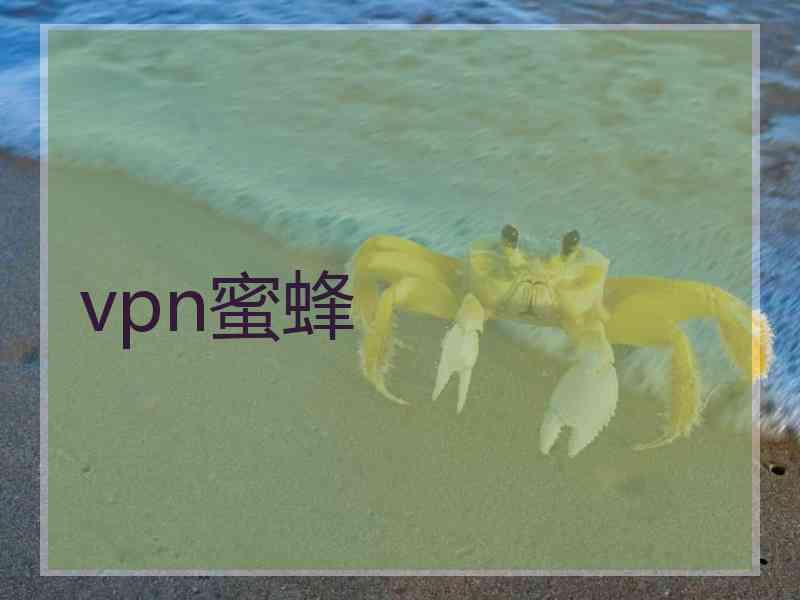 vpn蜜蜂