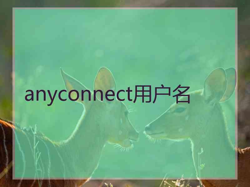 anyconnect用户名