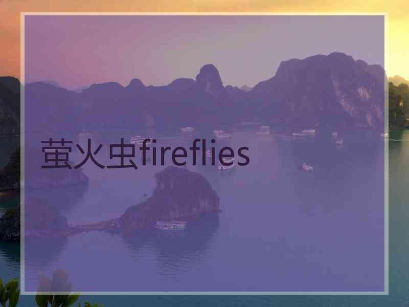 萤火虫fireflies