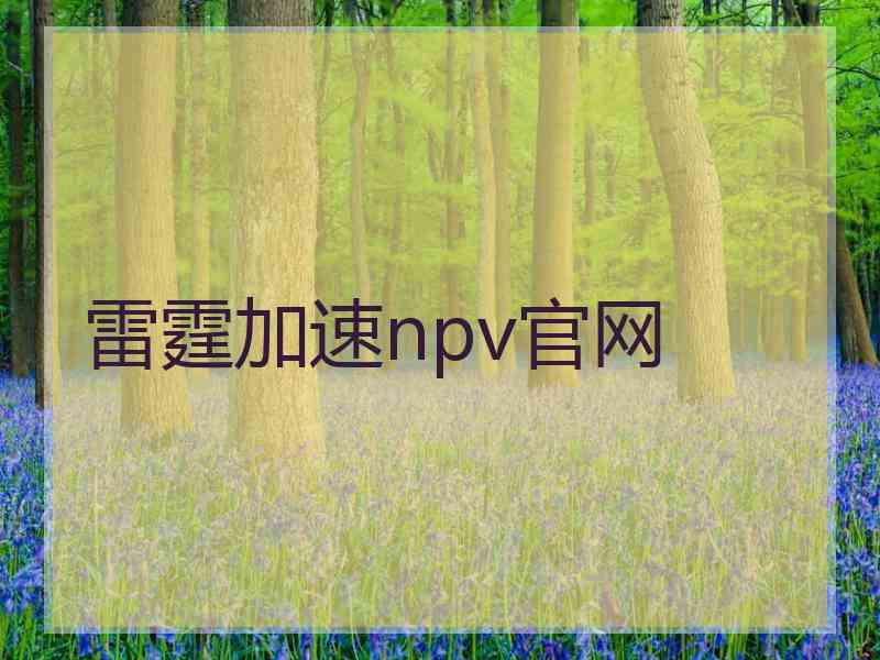 雷霆加速npv官网