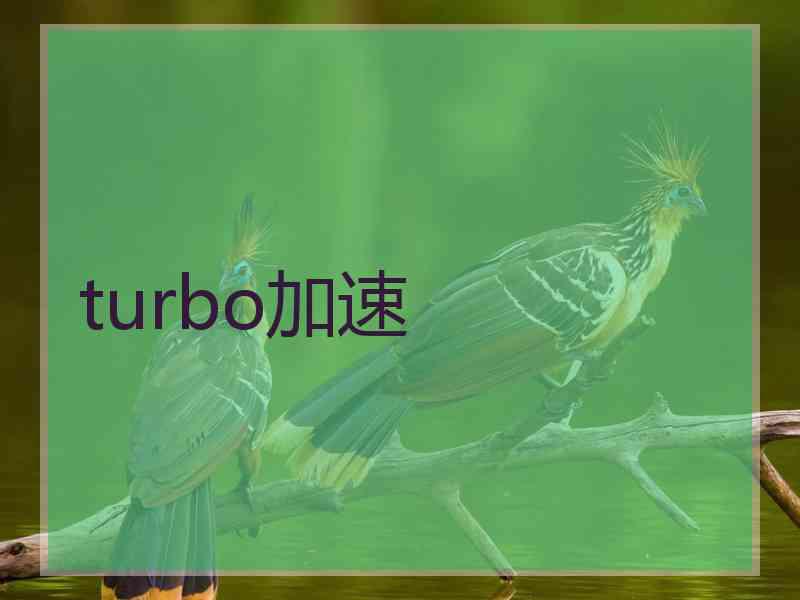 turbo加速