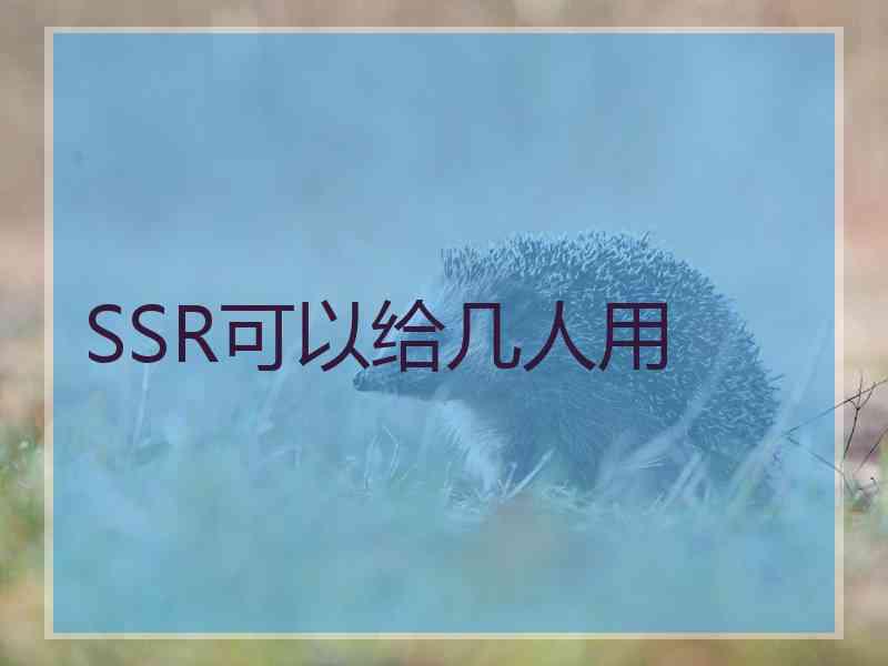 SSR可以给几人用