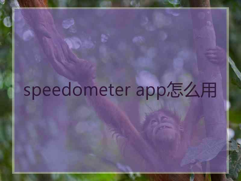 speedometer app怎么用