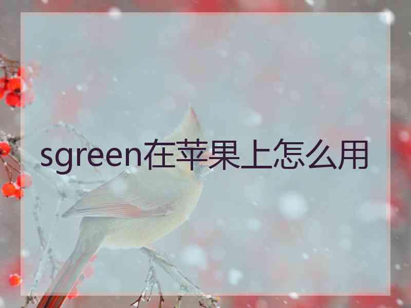 sgreen在苹果上怎么用