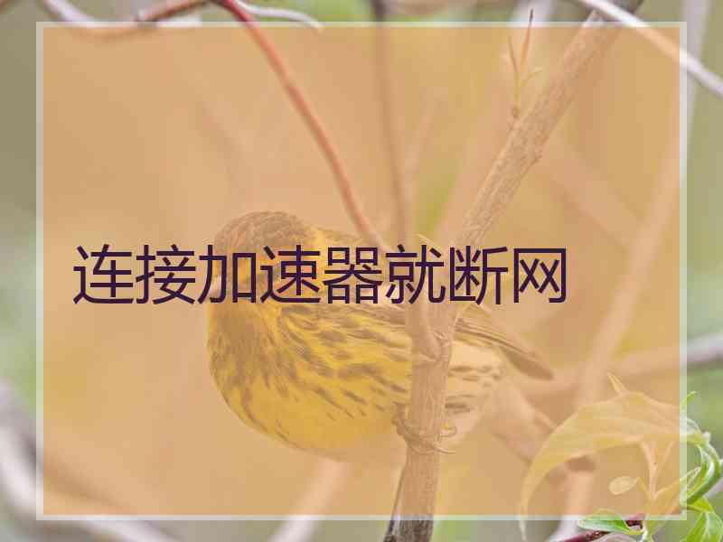 连接加速器就断网