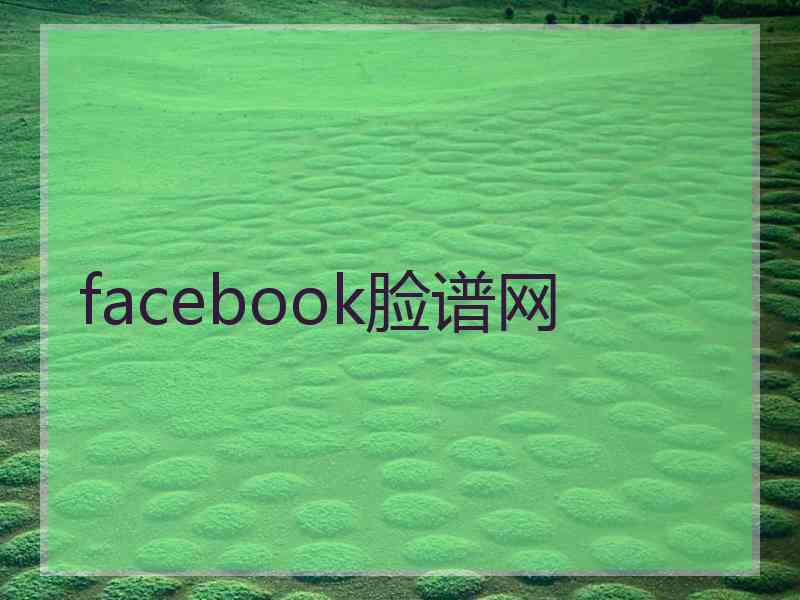 facebook脸谱网