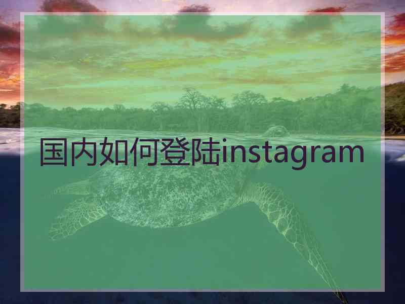 国内如何登陆instagram