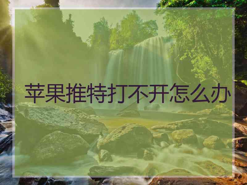 苹果推特打不开怎么办