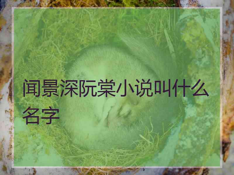 闻景深阮棠小说叫什么名字