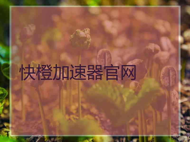 快橙加速器官网