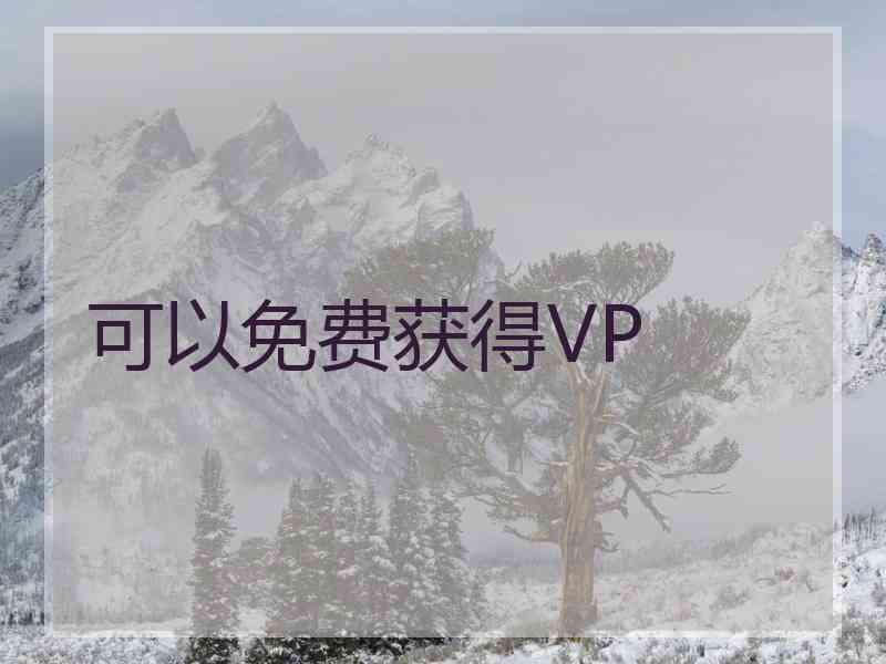 可以免费获得VP