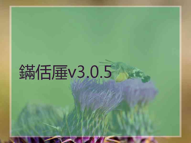 鏋佸厜v3.0.5