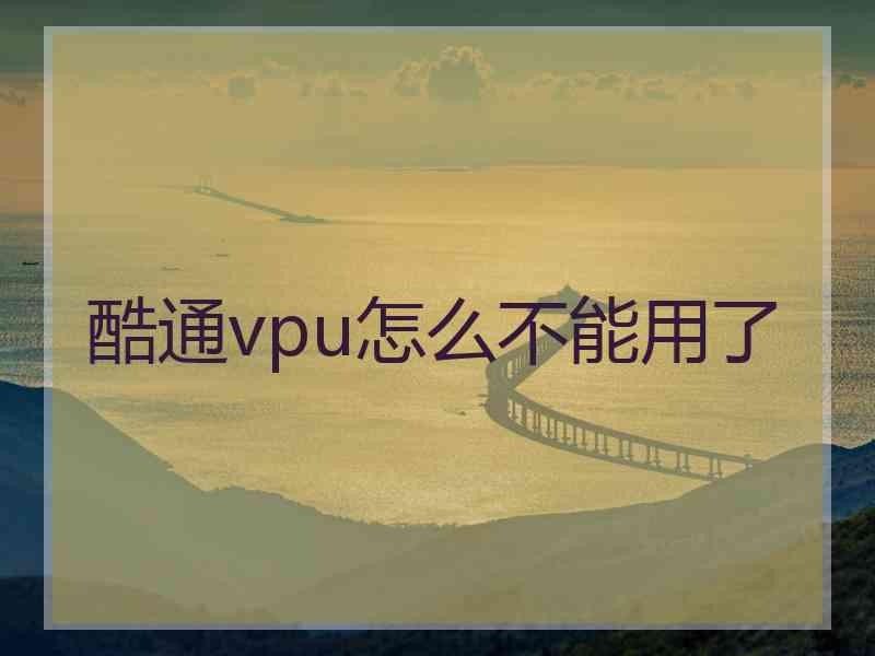 酷通vpu怎么不能用了