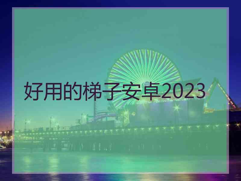 好用的梯子安卓2023