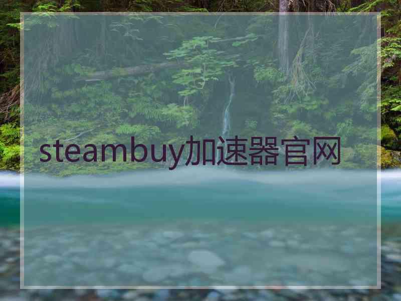 steambuy加速器官网