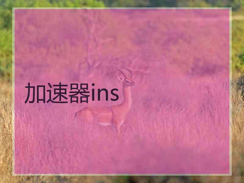 加速器ins