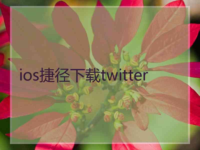 ios捷径下载twitter