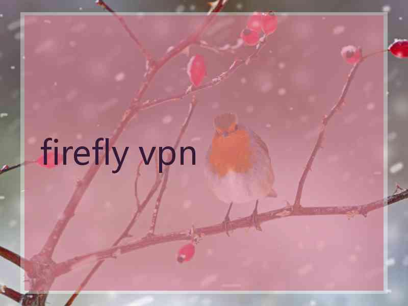 firefly vpn