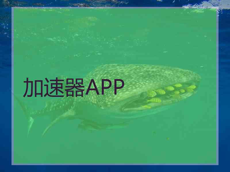 加速器APP