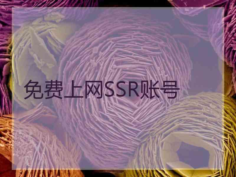 免费上网SSR账号