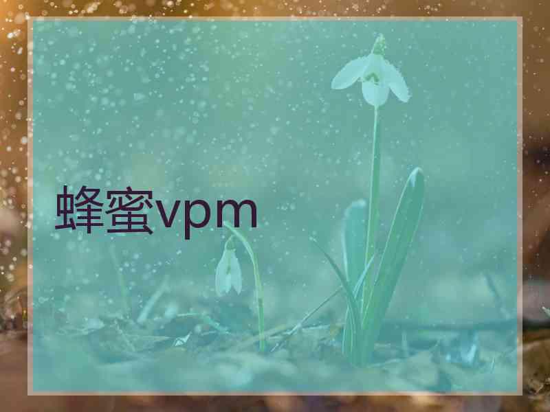 蜂蜜vpm