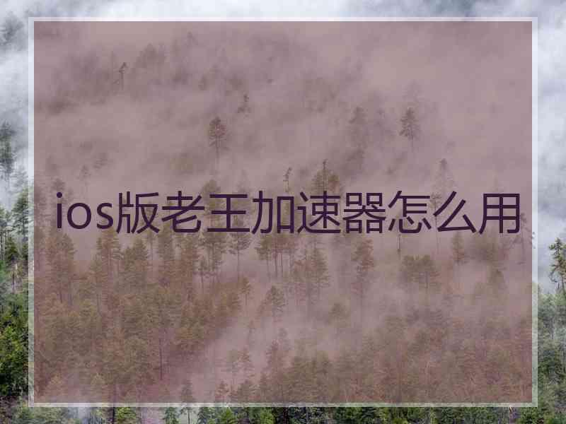 ios版老王加速器怎么用