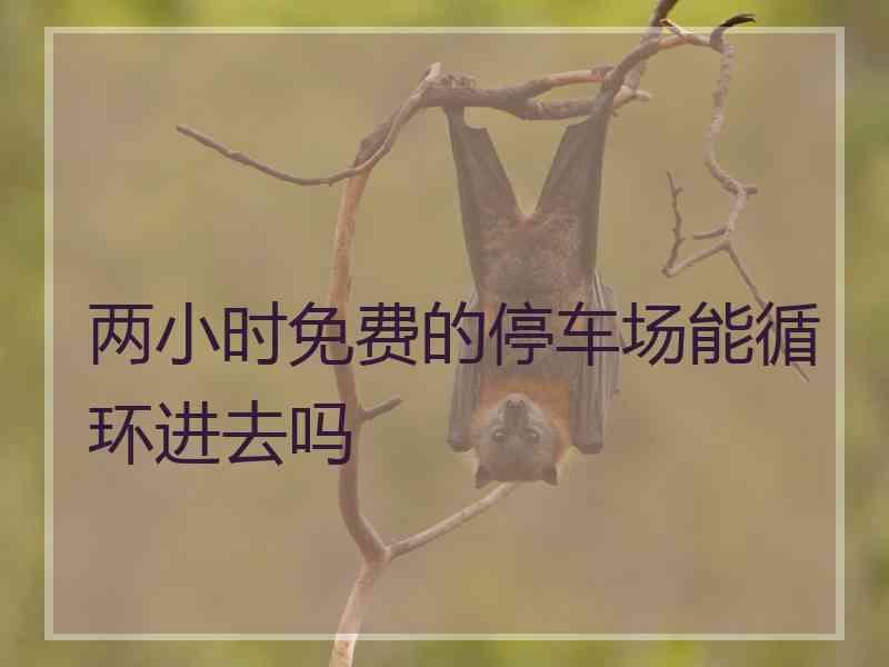 两小时免费的停车场能循环进去吗