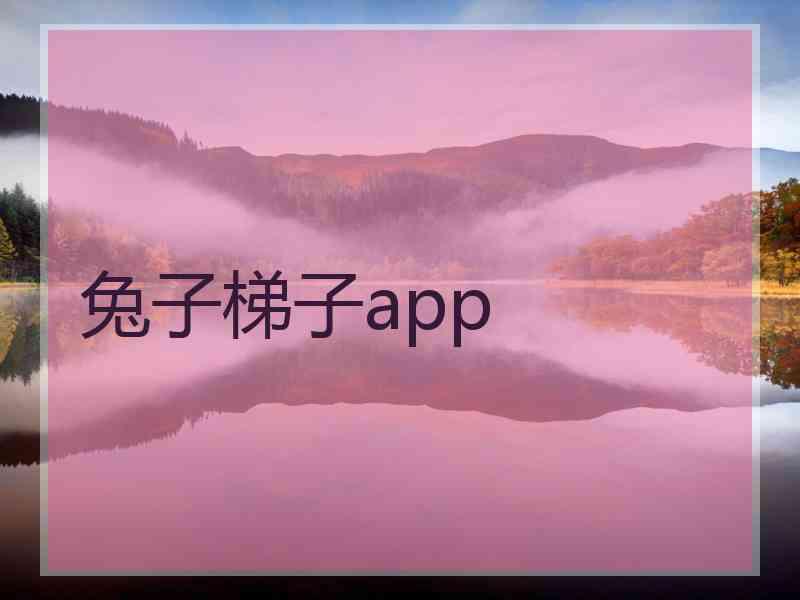 兔子梯子app