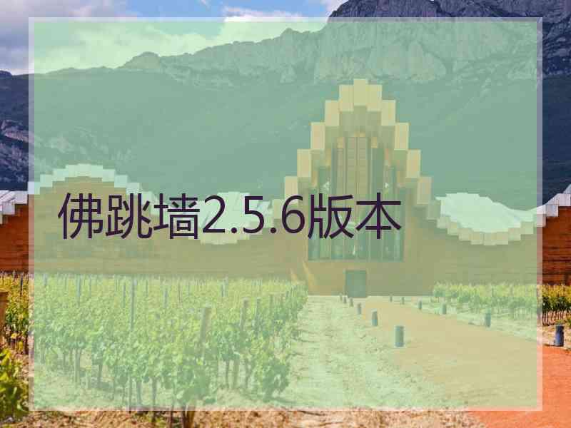 佛跳墙2.5.6版本