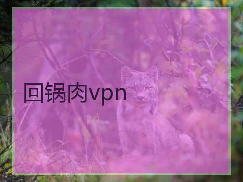 回锅肉vpn