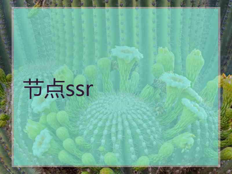 节点ssr