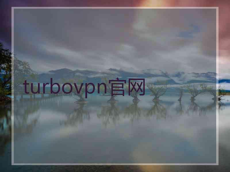 turbovpn官网