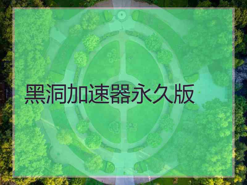 黑洞加速器永久版