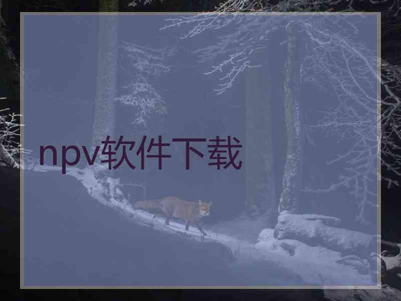 npv软件下载