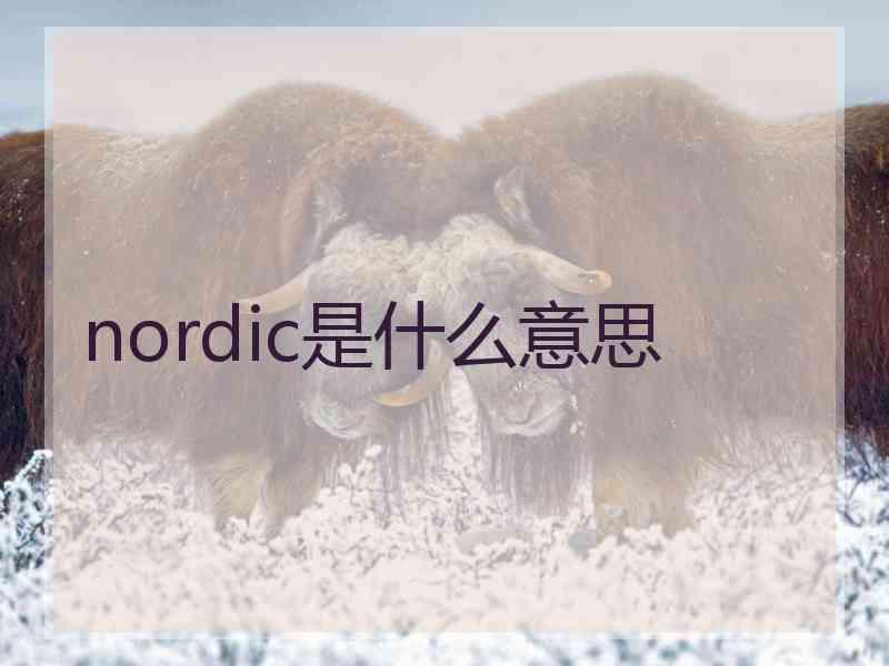 nordic是什么意思