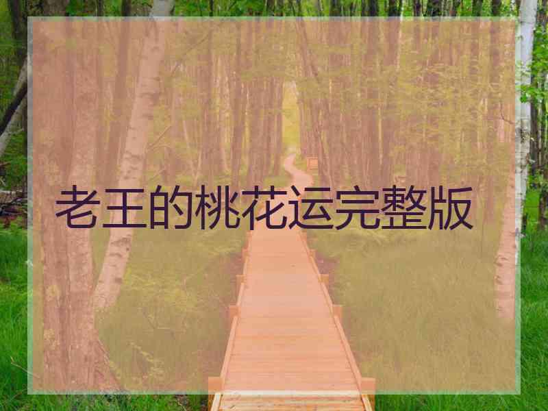 老王的桃花运完整版