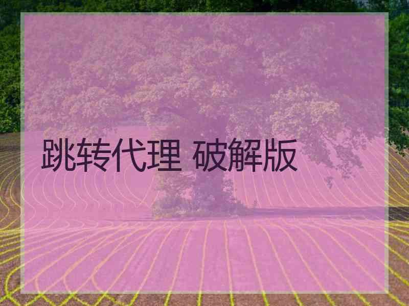 跳转代理 破解版