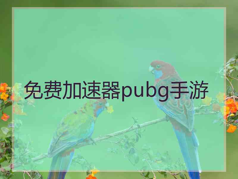 免费加速器pubg手游