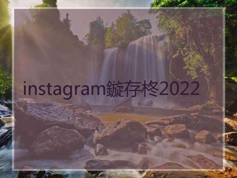 instagram鏇存柊2022