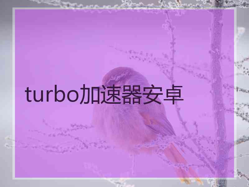 turbo加速器安卓