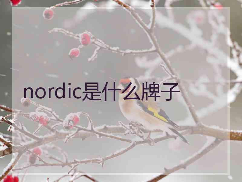 nordic是什么牌子