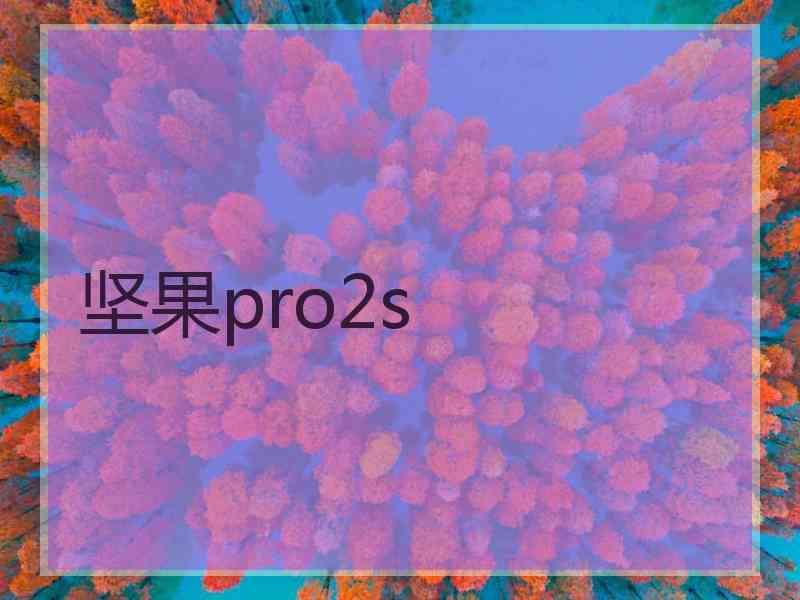 坚果pro2s